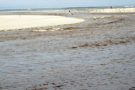 Die Mond van Uilenkraalsmond is weer oop, nadat die water Vrydagnag, 3 Julie 2015 deurgebreek het.  Dit is altyd â€˜n welkome en pragtige gesig om te aanskou, veral met die rivier wat in â€˜n sterk stroom see toe vloei.